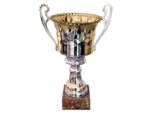 grafica-adesivi-alessandria-coppe-10