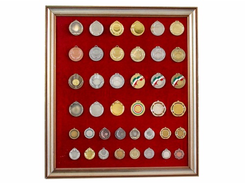 grafica-adesivi-alessandria-targhe-coppe-e-medaglie-8